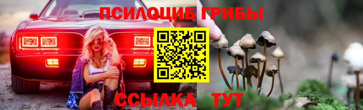 Ишим  Галлюциногенные грибы прущие грибы  Галлюциногенные грибы мухоморы  Вход с VPN 
